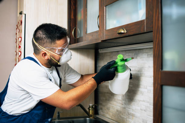 Best Pest Removal Services  in Andrews, SC