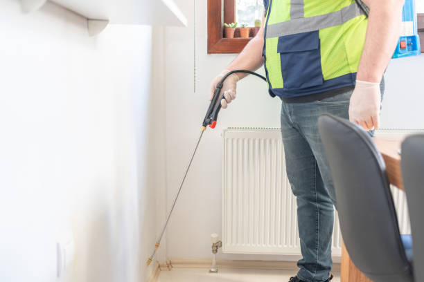 Wasp Removal Services in Andrews, SC