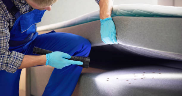 Pest Control for Restaurants in Andrews, SC