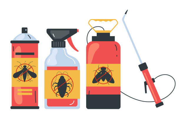 Best Termite Control Services  in Andrews, SC