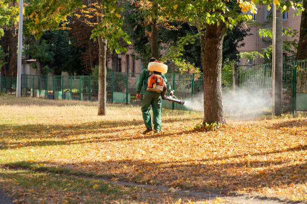Trusted Andrews, SC Pest Control Experts
