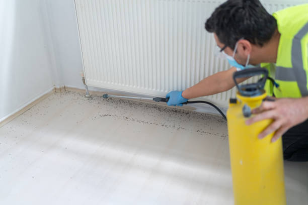 Best Bed Bug Extermination  in Andrews, SC