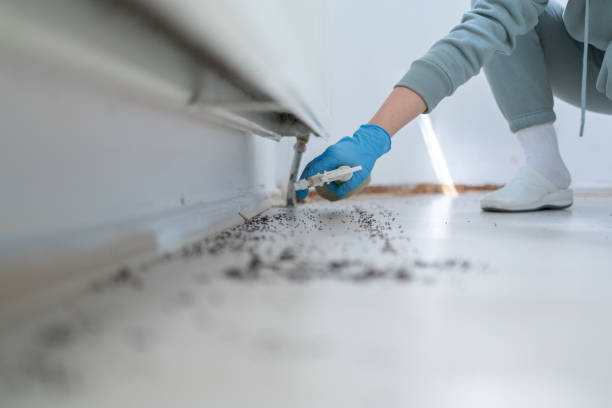 Best Cockroach Control Services  in Andrews, SC