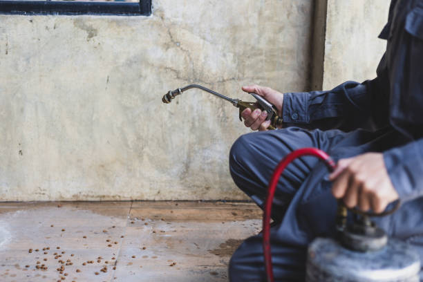 Best Best Pest Control Near Me  in Andrews, SC